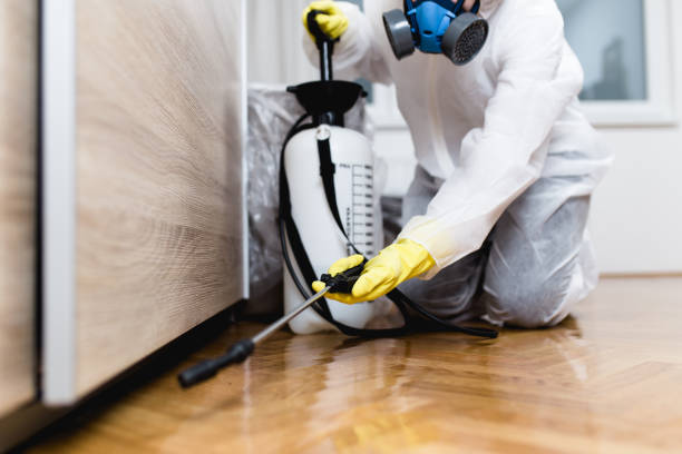 Best Best Pest Control Companies  in Hanover, PA