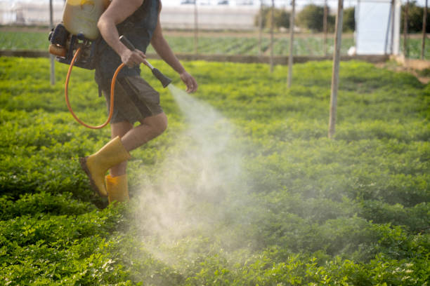 Pest Prevention Services in Hanover, PA