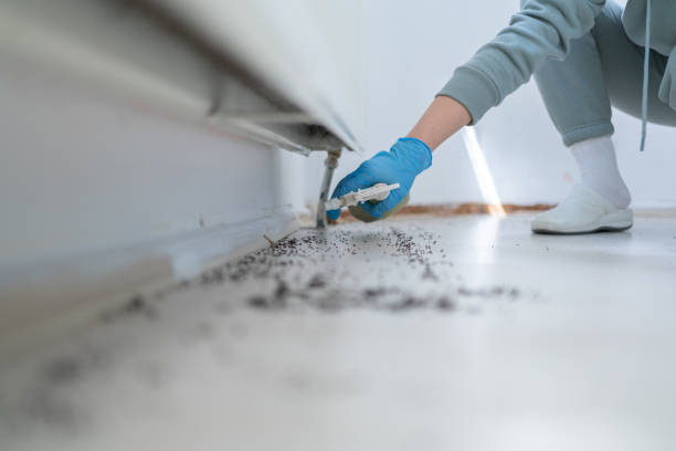 Professional Pest Control in Hanover, PA