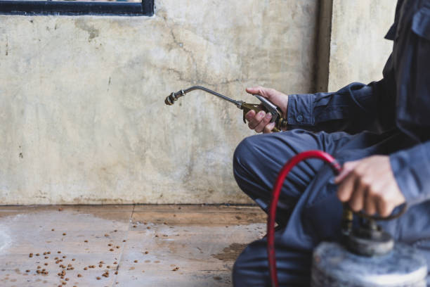 Best Wasp Removal Services  in Hanover, PA